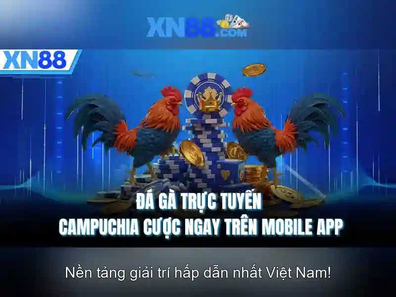 xn88 - Nền tảng cá cược trực tuyến và trải nghiệm người dùng
