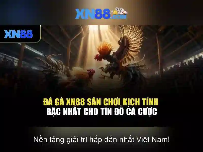 Giới thiệu xn88