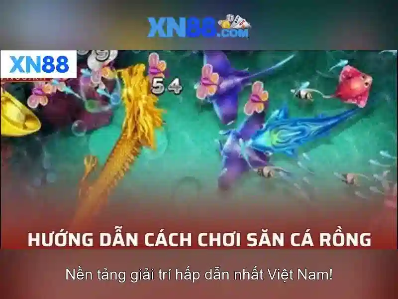 Cập nhật và tương lai của xn88