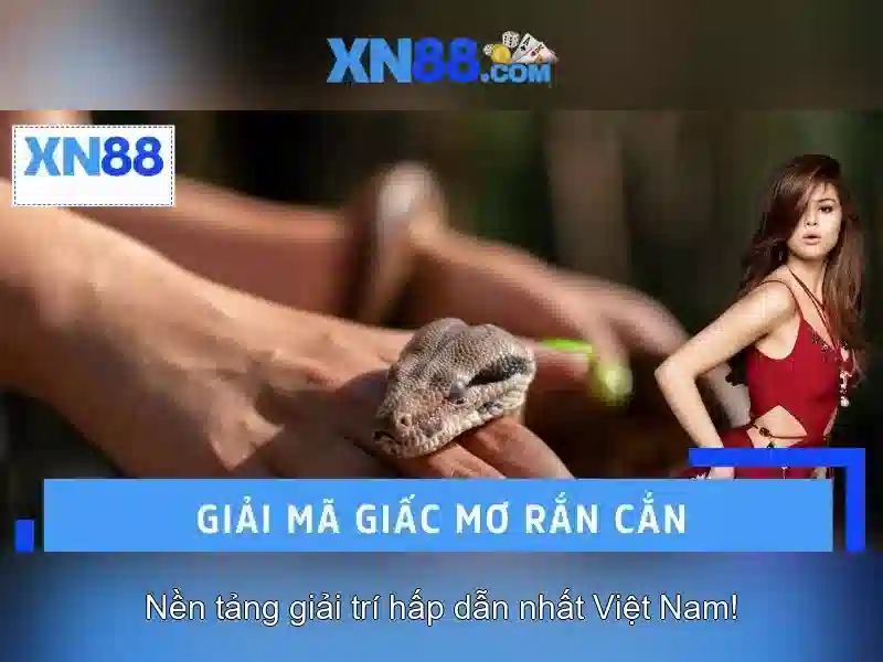 tai app xn88 – Trải nghiệm tối ưu và cách chơi