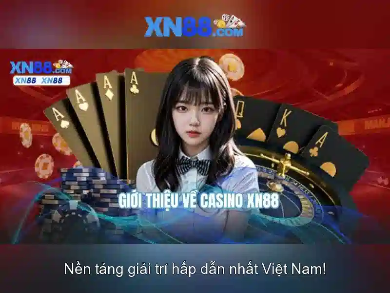 Kết luận