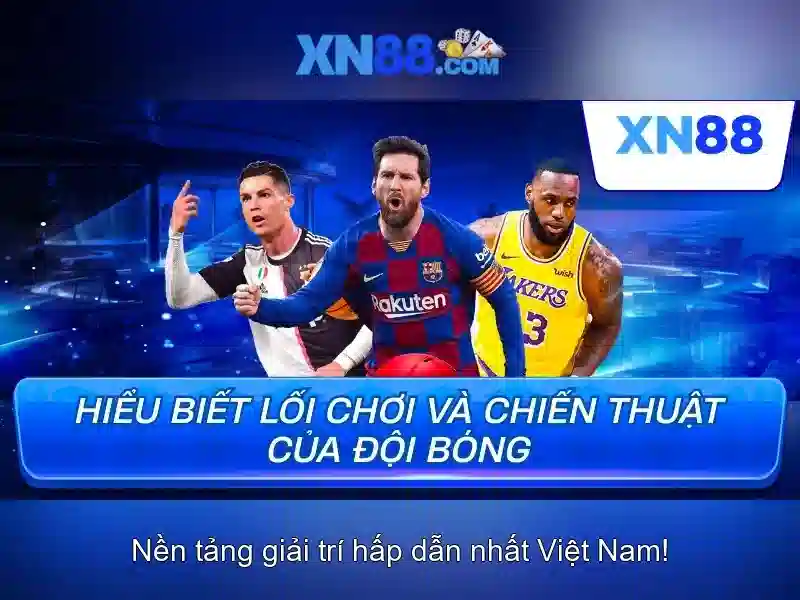 Lịch sử phát triển và tầm nhìn