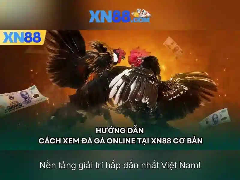 xn88 - Nền tảng cá cược trực tuyến hàng đầu