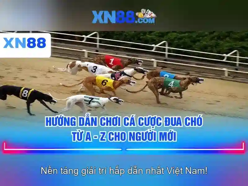 Nguồn gốc và ý nghĩa của tên xn88