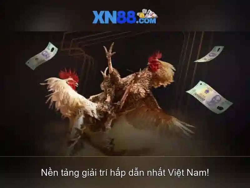xn88 cacelem: Đột phá an ninh số