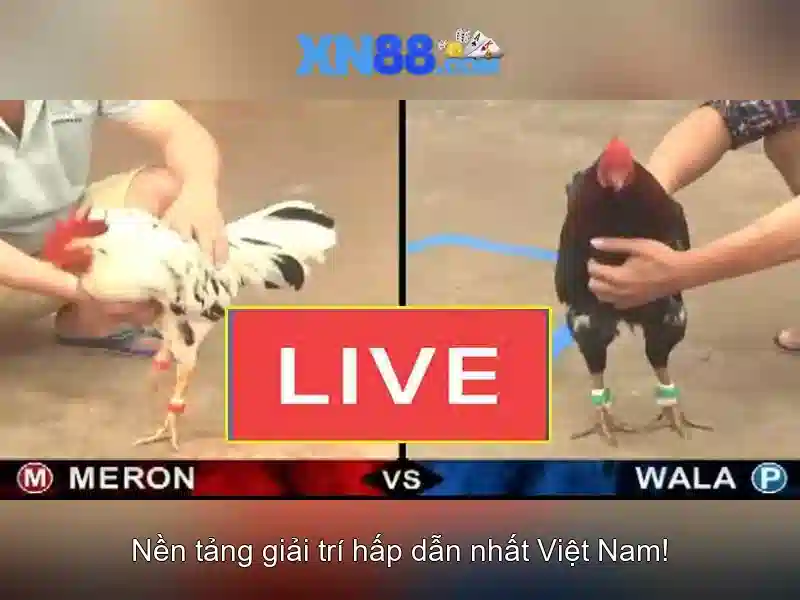 xn88 - Một cái nhìn tổng quan bằng tiếng Việt