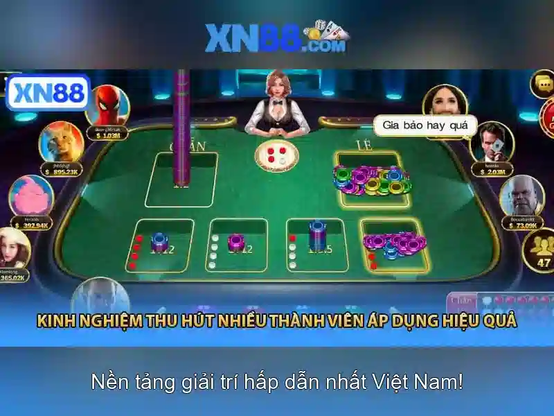 Xn88: Tổng quan và hướng dẫn cơ bản