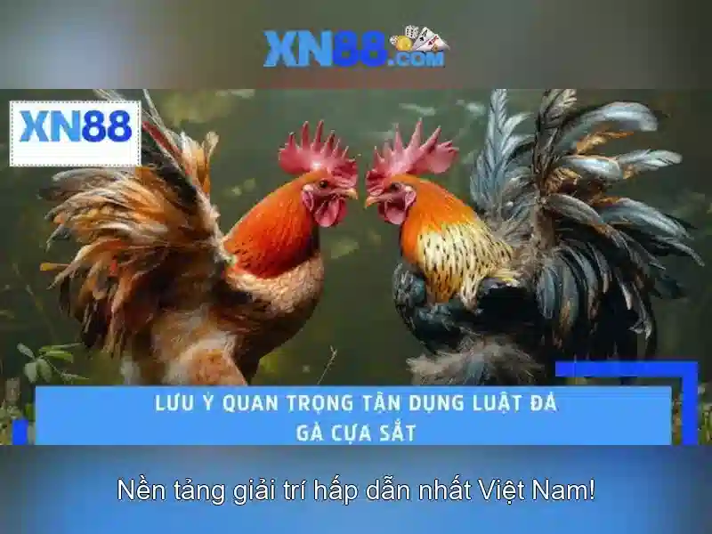 Khám phá lịch sử và nguồn gốc xn88