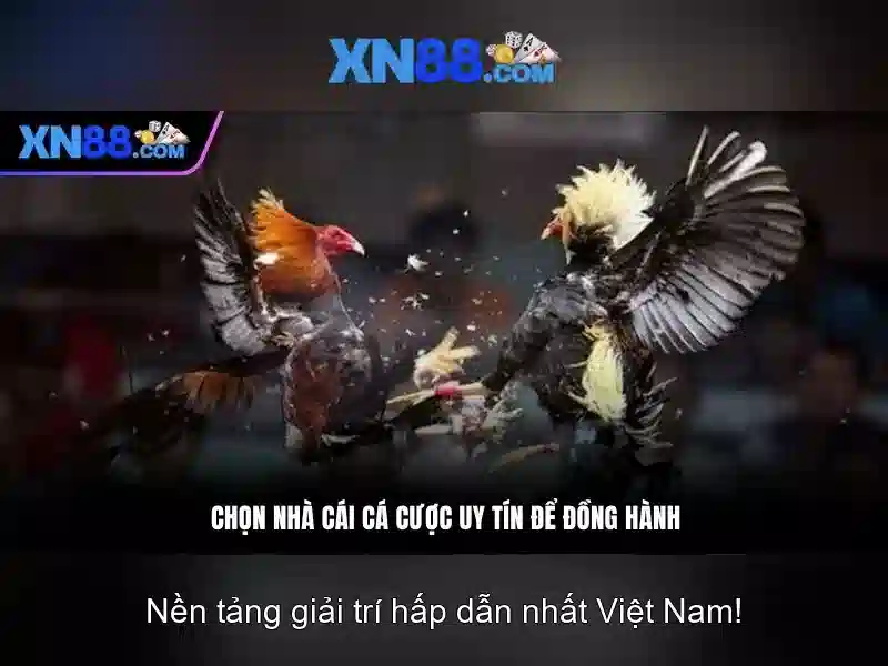 xn88: Nền tảng trực tuyến và trải nghiệm dành cho người chơi