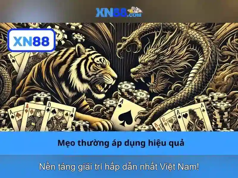 Giới thiệu về xn88