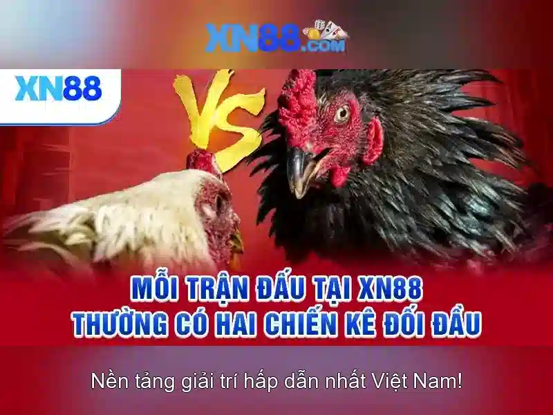 Hướng dẫn tham gia