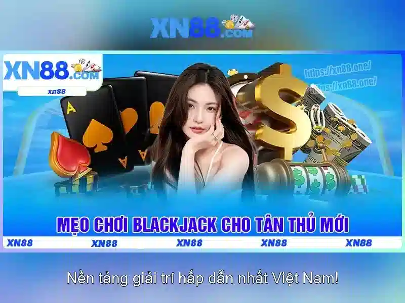 Cấu trúc và mục tiêu của xn88