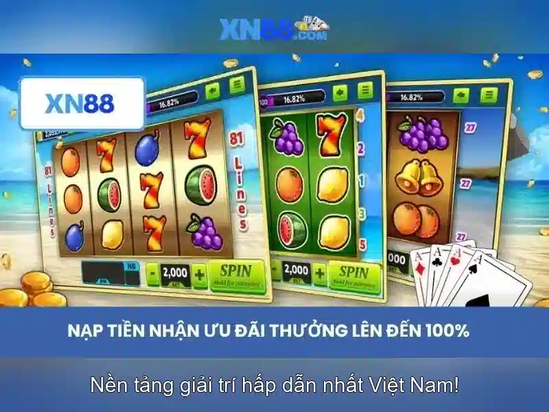 Quy mô và phạm vi hoạt động