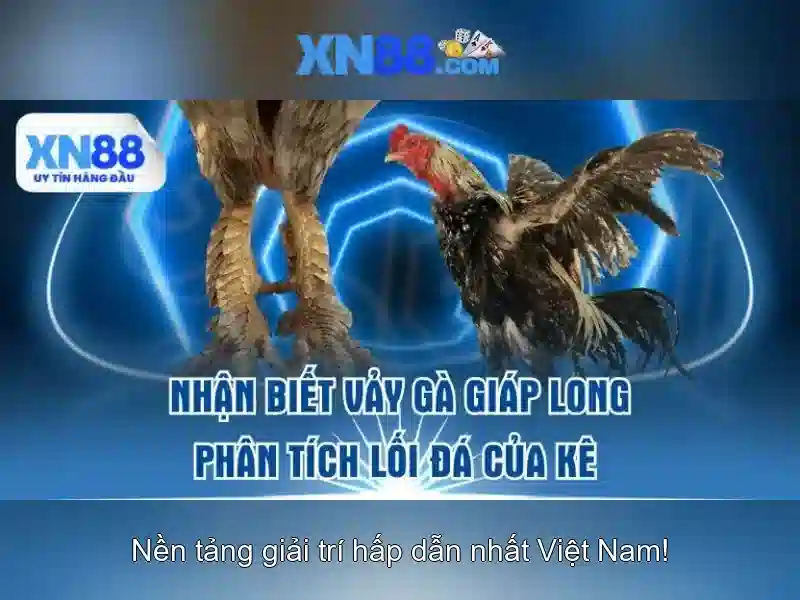 Cung cấp trò chơi và dịch vụ