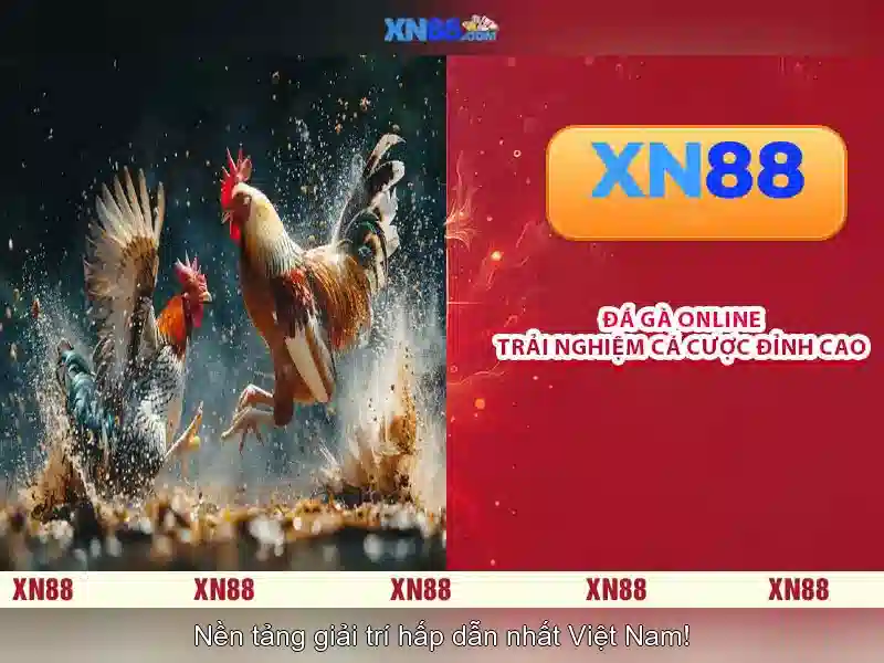 An toàn và bảo mật