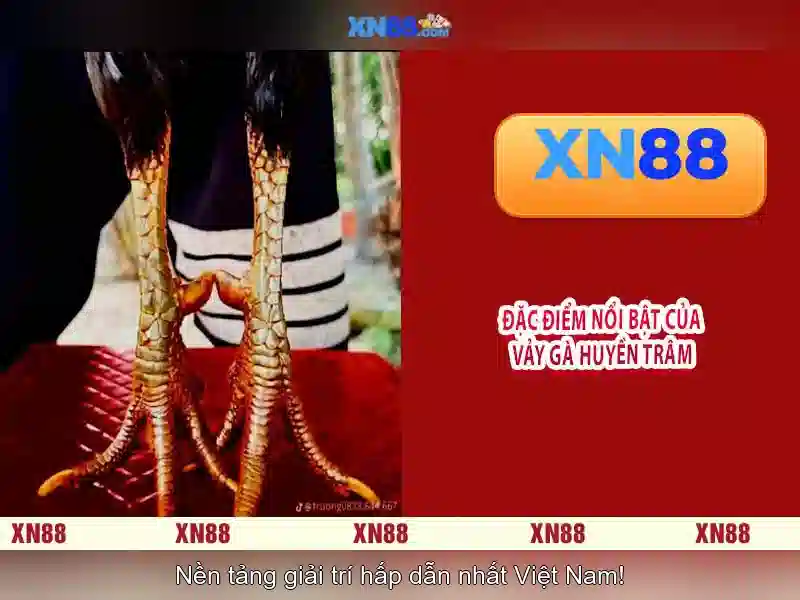 Trải nghiệm người dùng và đánh giá