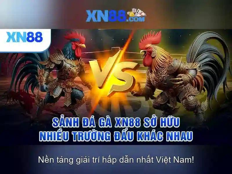 Giới thiệu về xn88
