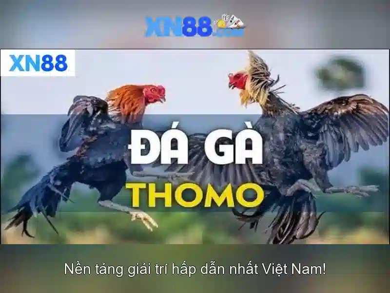 xn88 - nền tảng chơi game trực tuyến