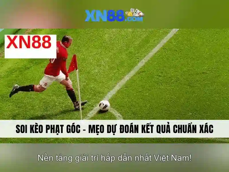 XN88: Đánh giá nền tảng cược trực tuyến