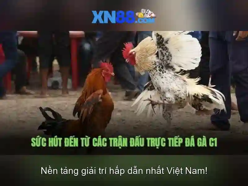 xn88: một cái nhìn tổng quan về nền tảng cược và trò chơi trực tuyến
