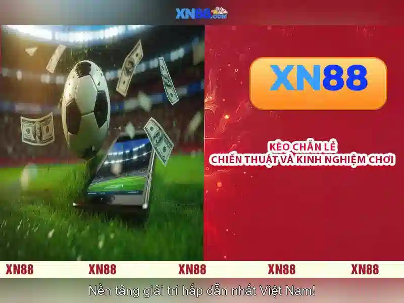 Tính năng và trải nghiệm người dùng