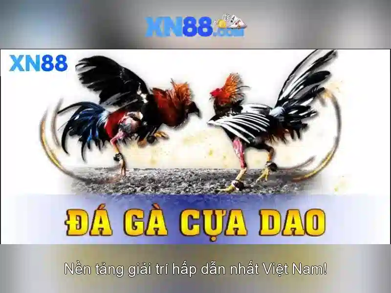 Lưu ý an toàn khi tham gia xn88