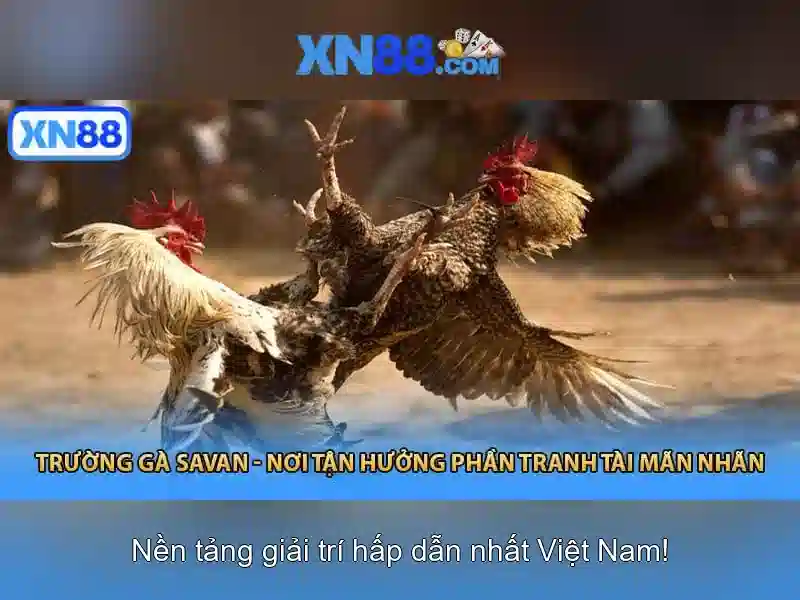 Nền tảng và trò chơi