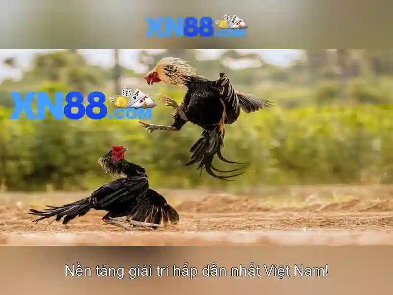 xn88 cacelem: Đột phá an ninh số