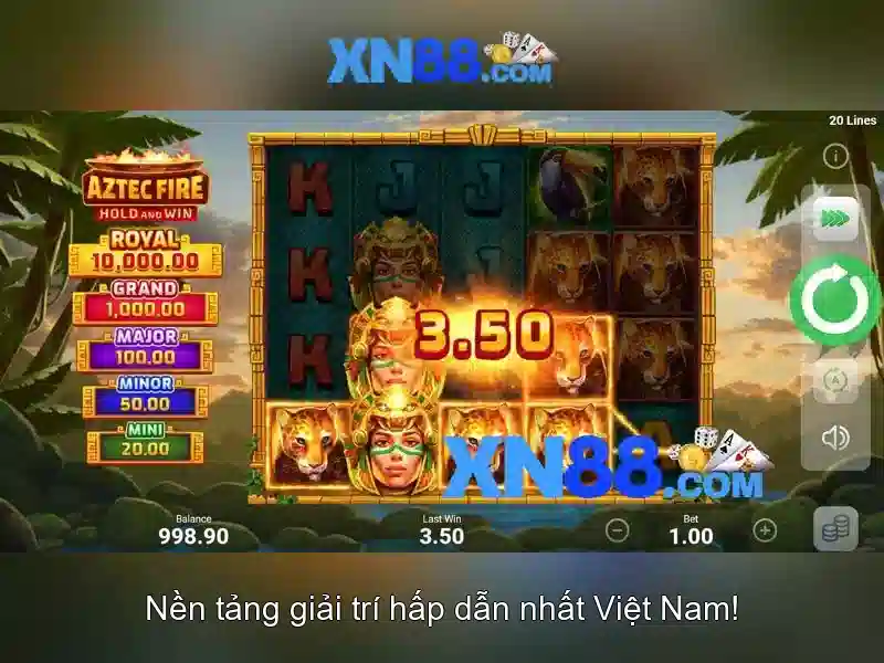 Kết luận