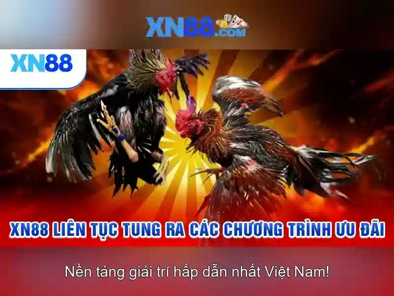 xn88-xn88: Trải nghiệm đỉnh cao và giá trị thương hiệu toàn cầu