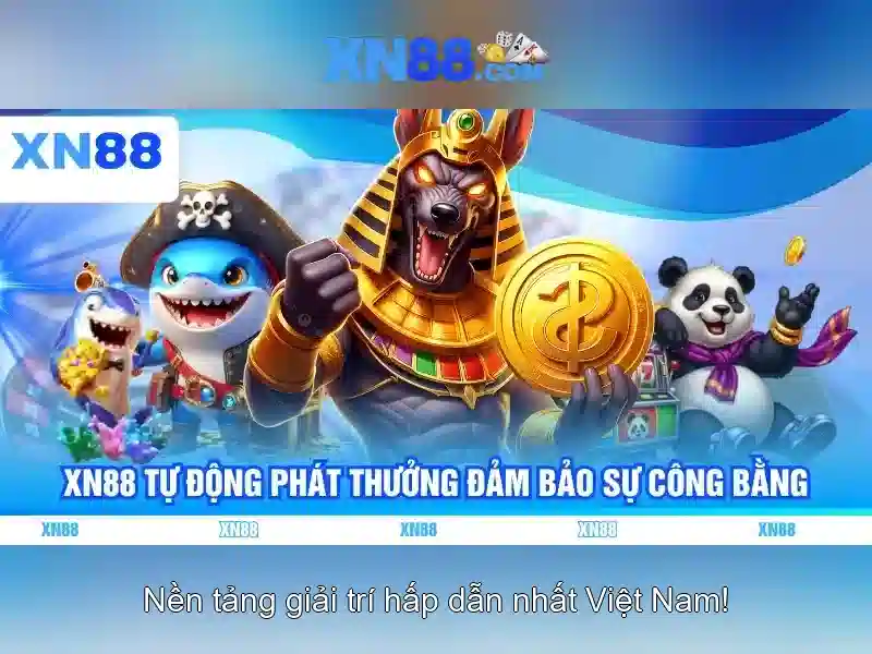 Giới thiệu về xn88