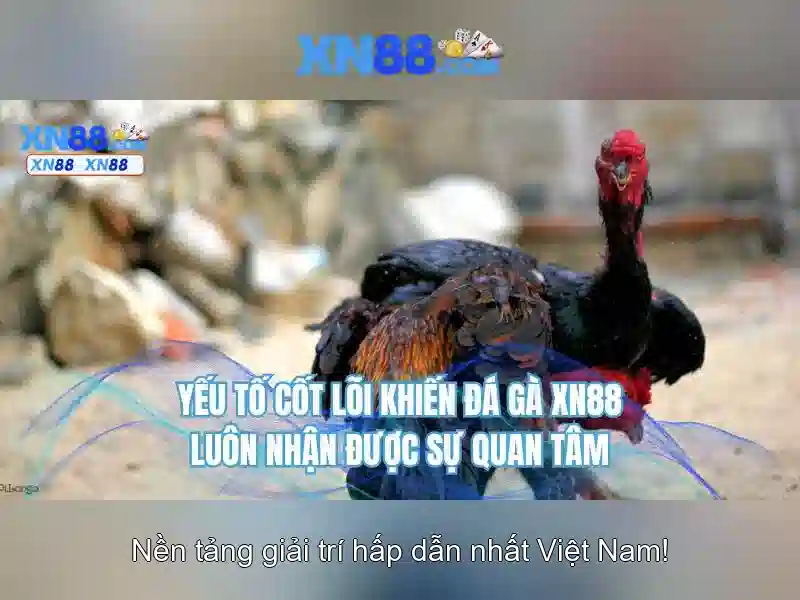 Trải nghiệm người dùng và an toàn