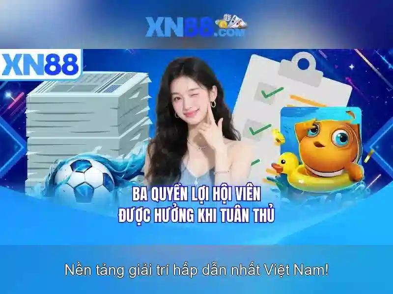 Lịch sử và nền tảng