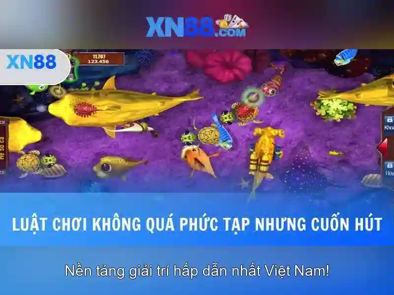 Nền tảng và trải nghiệm người dùng