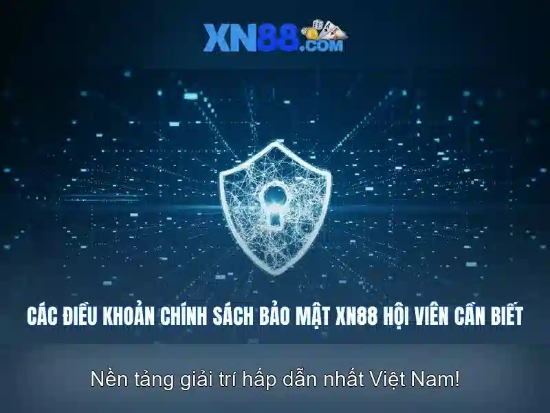 xn88: Giới thiệu và các khía cạnh chính